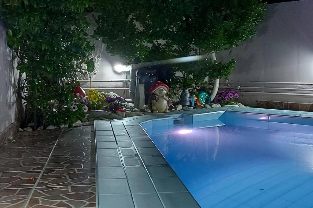 Violet Studio Με Πισίνα 볼로스 외부 사진