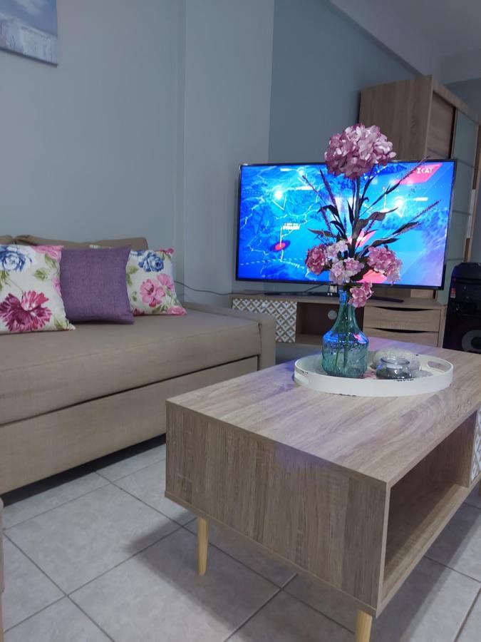Violet Studio Με Πισίνα 볼로스 외부 사진